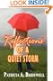 Reflections of a Quiet Storm