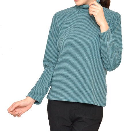 (リードエレガンス)Reed Elegance 【日本製】ソフトサーモ ボーダー ハイネックカットソー