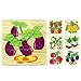Autumn Fall Wooden Kids Jigsaw Toys For Children Education And Learning Puzzles Toys Eggplant RS.1299.00