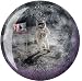 Sports : Bowlingball Brunswick Viz a Ball MOON 14 Lbs