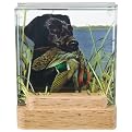 Hunting Dog 3-D Coaster Set