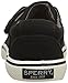 Sperry Ollie Alternative Closure Sneaker (Toddler/Little Kid)
