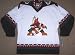 beagle33 - PHOENIX COYOTES NHL STITCHED EMBROIDERED THROWBACK JERSEY YOUTH