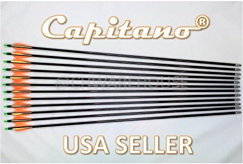 32"-12 Capitano Archery Fiberglass Target Practice Arrows with Nocks, Fletches &amp; Replaceable Screw-in Tips, 81cm (1 Dozen)