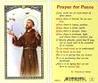 St. Francis - Prayer for Peace Holy Card (800-241)