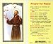 St. Francis - Prayer for Peace Holy Card (800-241)
