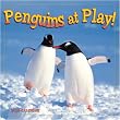 Penguins at Play! 2009 Wall Calendar