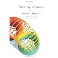 Thinking in Systems: A Primer