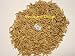 1 Pound Natural Organic Whole Oat Grain Seeds (Unhulled) BULK-- For Growing Oat grass to Juice, Sprouting Seed, Grinding to Make Flour & Bread, Growing Ornamental Oat Grass, for Cat Grass & More. Makes Excellent Food Storage. Outstanding Germination Rate