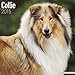 Collie Calendar - Breed Specific Collie Calendar - 2015 Wall calendars - Dog Calendars - Monthly Wall Calendar by Avonside