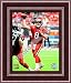 Framed Matt Schaub Houston Texans 8x10 Photo