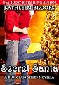 Secret Santa, A Bluegrass Series Novella