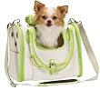 East Side Collection Madrid Pet Carrier - Teacup Size in Green