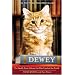 Dewey: The Small-Town Library Cat Who Touched the World