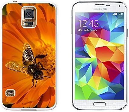 Movie Actor Music Star Band Series - Magcon Boys Cameron Dallas Album Cover Poster Pictures Personalized Case For Apple Iphone 5,5S - Custom Personalized Hard Plastic Phone Case Shell Back Cover