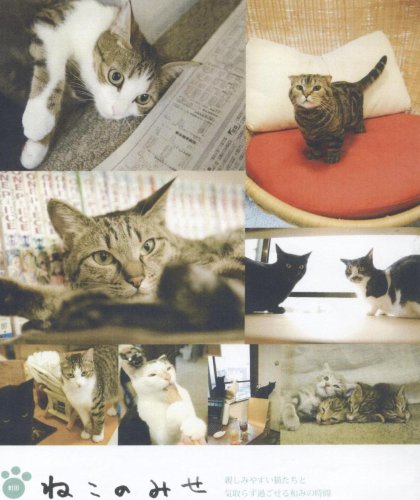 Cover image : 猫カフェ