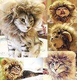 Generic Pet Costume Lion Mane Wig for Cat Christmas Xmas Santa Halloween Clothes Festival Fancy Dress up (Blending, S)