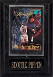 Scottie Pippen 1995-'96 Skybox Premium #251 Card Plaque