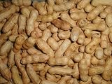 Peanuts intheshell