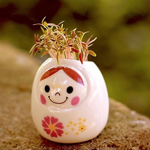 DCDEAL DIY Mini Ceramic Creative Doll Hair Green Grass Potted Plant Bonsai Pots Desktop Office Garden Decor(white)