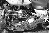 Skull MOTORCYCLE AIR HORN by MetalArts