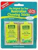 Tea Tree Toothpicks Dual Pack-Original /Cinnamon - 100 +100 - Toothpick