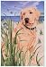 Yellow Labrador Retriever House Flag-25