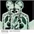 Bodysong