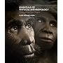 Essentials of Physical Anthropology: Discovering Our Origins