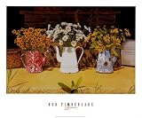 Daisies Still Life Art Poster Print by Bob Timberlake, 24x20
