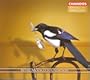 La gazza ladra (The Thieving Magpie) (Sung in English): Act II Scene 2: What a dump of a village (Ernesto, Pippo, Giorgio, Antonio)