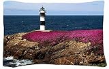 Microfiber Peach Standard Soft And Silky Decorative Pillow Case (20 * 26 Inch) - Landscapes Pancha Island Galicia Spain Illa Pancha Ribadeo Bay Of Biscay Coast Ribadeo Galicia Spain Rocks Lighthouse Flowers Sea