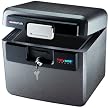 SentrySafe HD4100 FIRE-SAFE Waterproof File, 0.65 Cubic Feet, Silver Gray