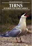 Terns of Europe and North America (Helm Identification Guides)