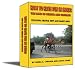 How to Have Fun in India: Land of Mirror and Contrast at Amazon: 511qSUpVSjL._SL75_