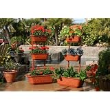 Vegetable Planter | Flower Planter | Outdoor Planters - Self Watering Red Planter Box by Monkey Pots!