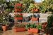 Vegetable Planter | Flower Planter | Outdoor Planters - Self Watering Red Planter Box by Monkey Pots!