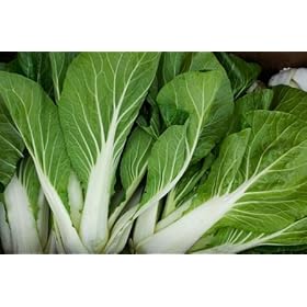 Bok Choy White Stem Heirloom Seeds 225 Seeds