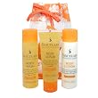 The Sanctuary 4-pc. Travel Spa Set