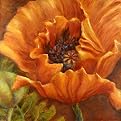 Etienne Orange Poppy Canvas Giclee(16 x 16")