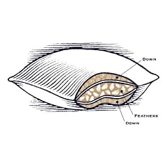 Pacific Coast Double Down Around Pillow-Queen