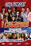 I Cesaroni - Stagione 03 (9 Dvd)