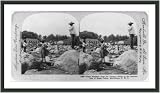 Historic Print (S): Huge boulders from the volcano borne to the destruction of Basse Pointe, Martinique, F.W