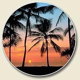 Palms, Sunset on the Beach Single Auto Coaster