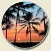 Palms, Sunset on the Beach Single Auto Coaster