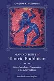 Making sense of Tantric Buddhism : history, semiology, and transgression in the Indian traditions