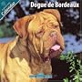 Dogue de Bordeaux 2010 Wall Calendar #10096-10