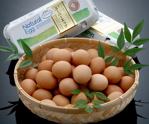 長崎県産　スッキリ（日本テレビ）ご当地グルメ選手権優勝の食材！雲仙スーパーエッグ（10個入り）産地直送！