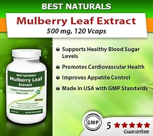 Best Naturals Mulberry Leaf Extract, 500 Mg, 120 Count