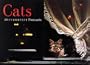 Cats: 30 Purrrfect Postcards (Gift Line)